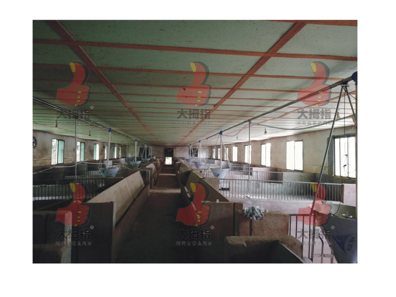 i(chng)Ԅ(dng)ϾO(sh)